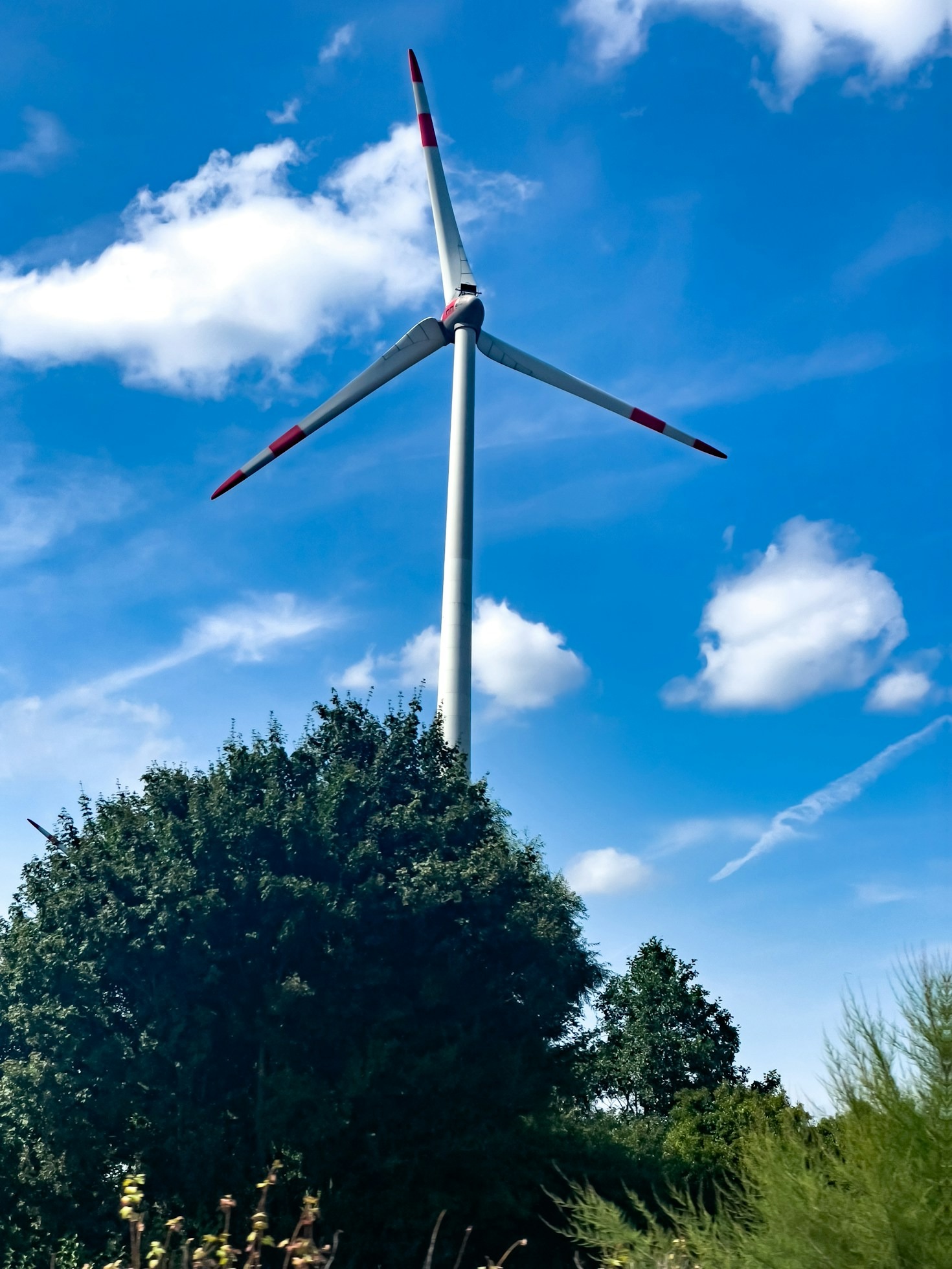 Building Long-Term Partnerships for Mutual Growth