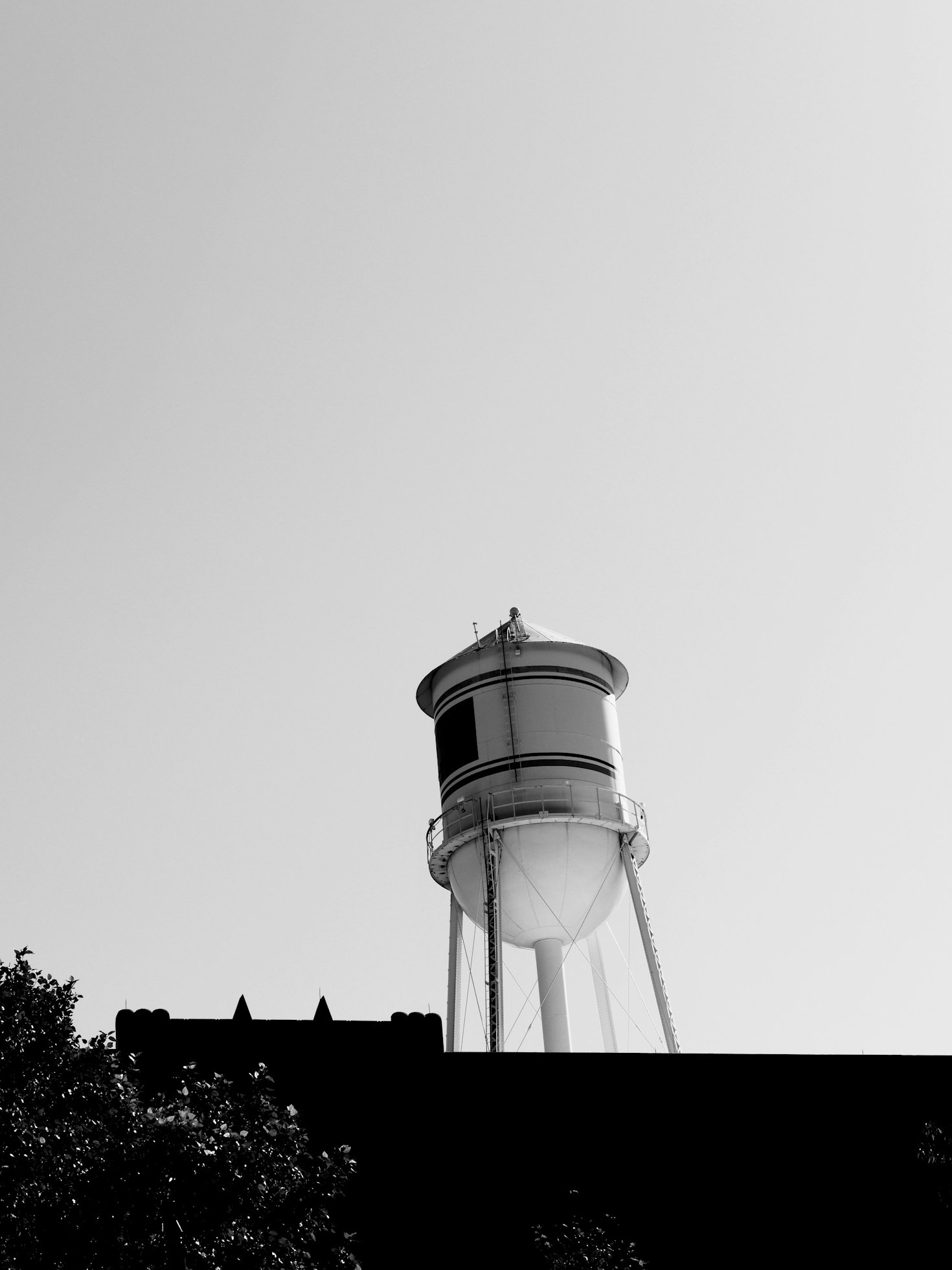 Haider Bukhari: Leading Enbridge ZC to Success